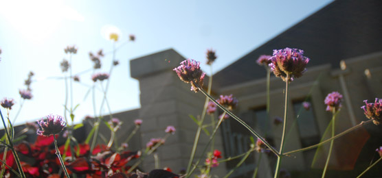 Header Image